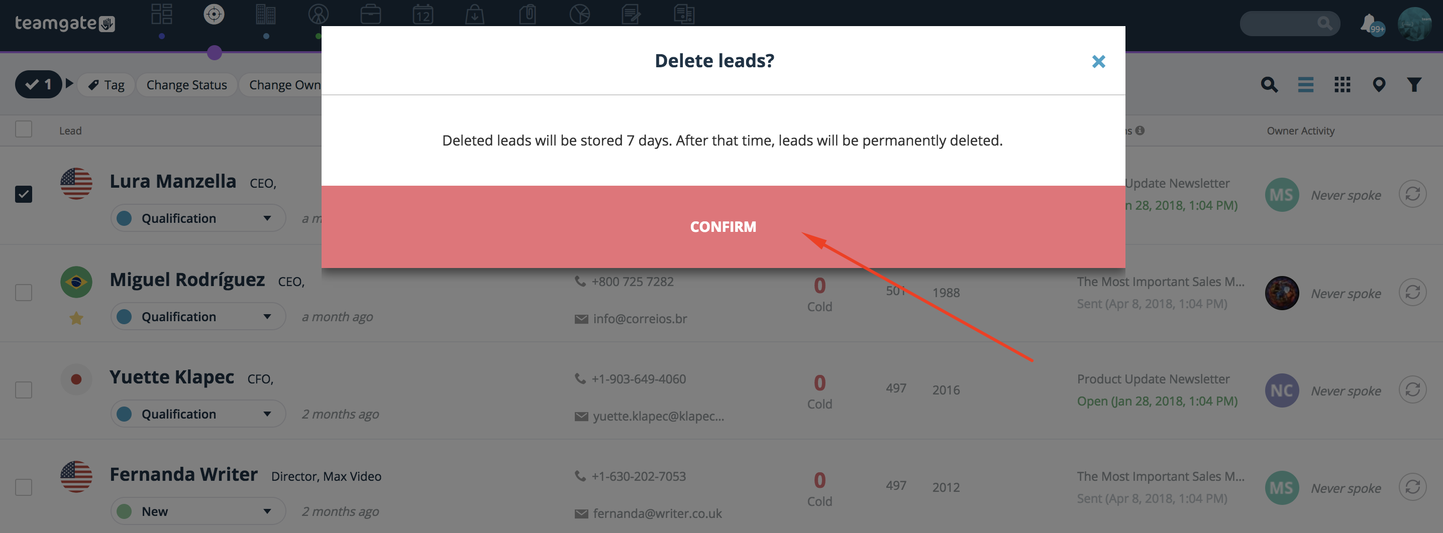 delete-leads-from-the-list-confirm-Teamgate.png